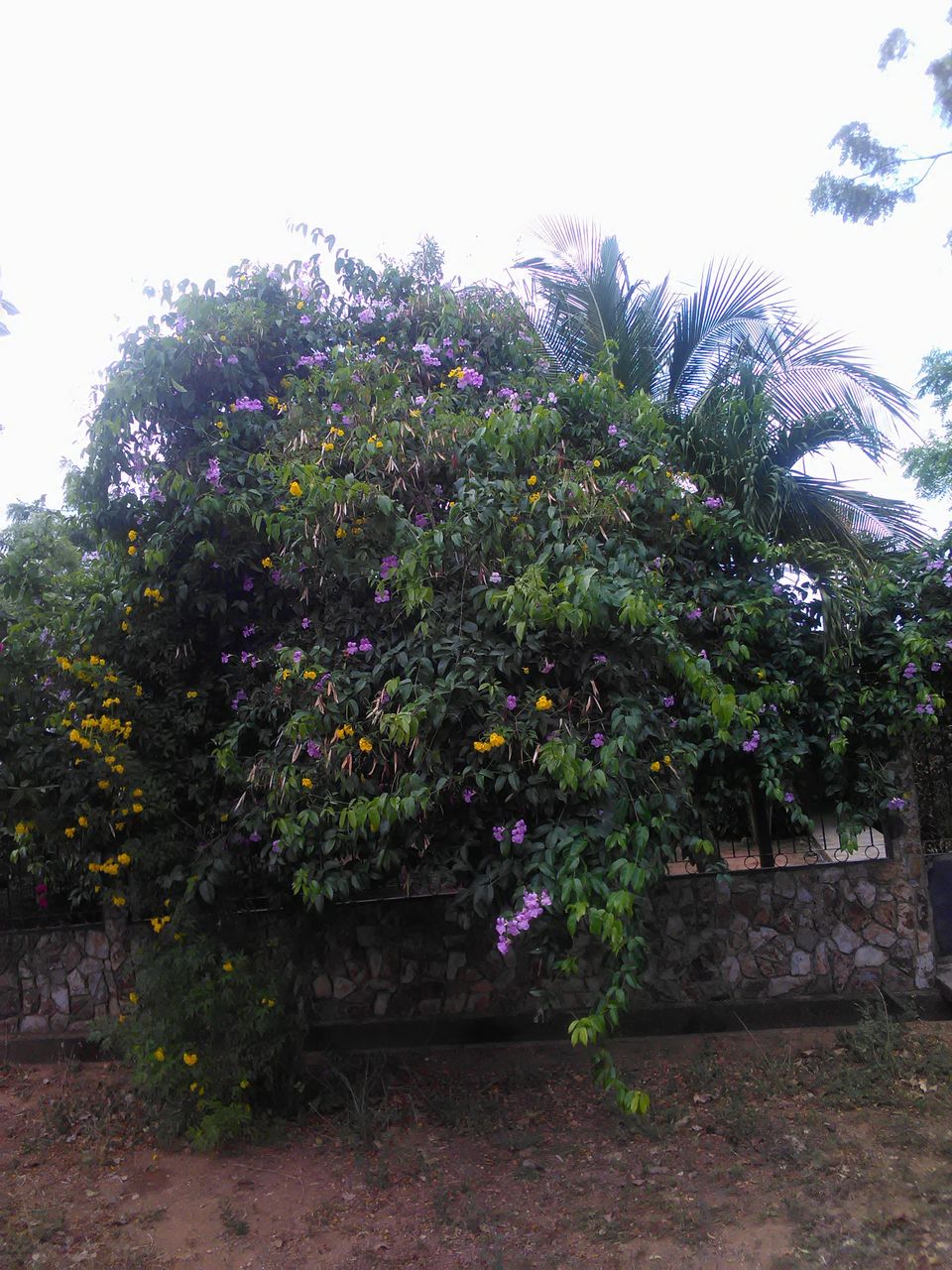 IMG_20210322_143000.jpg