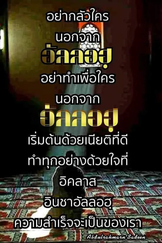 FB_IMG_1541600127327.jpg