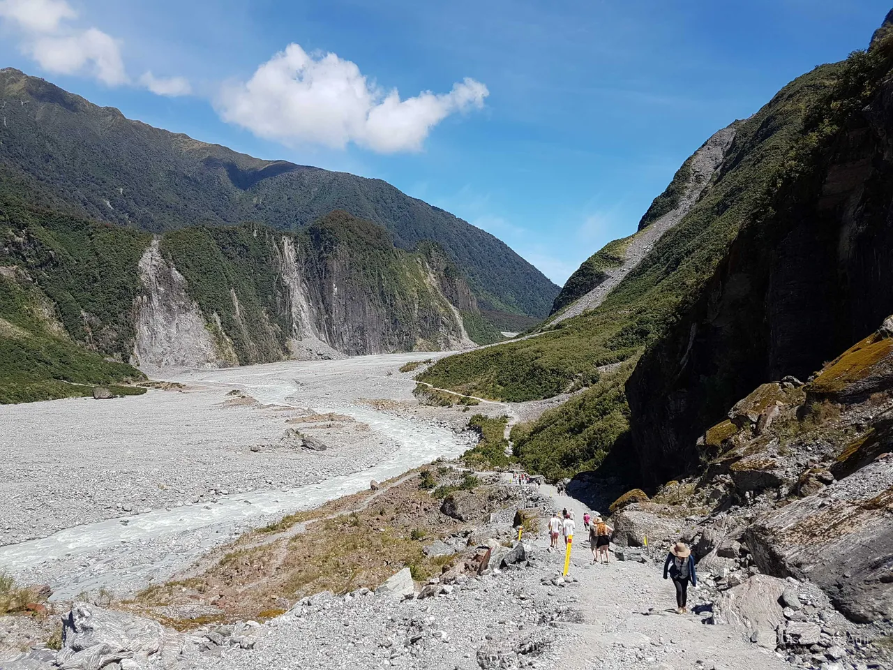 Glacier Country New Zealand-28.JPG
