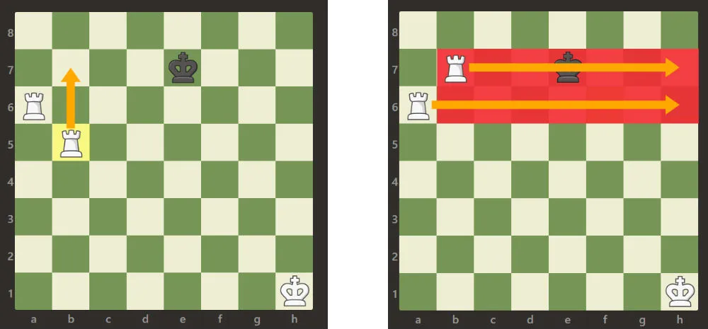 Ladder-Checkmate-5.jpg
