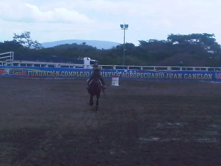IMG-20130714-00455.jpg