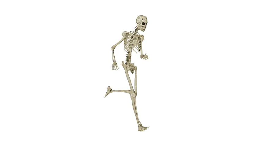 Running Skeleton.jpg