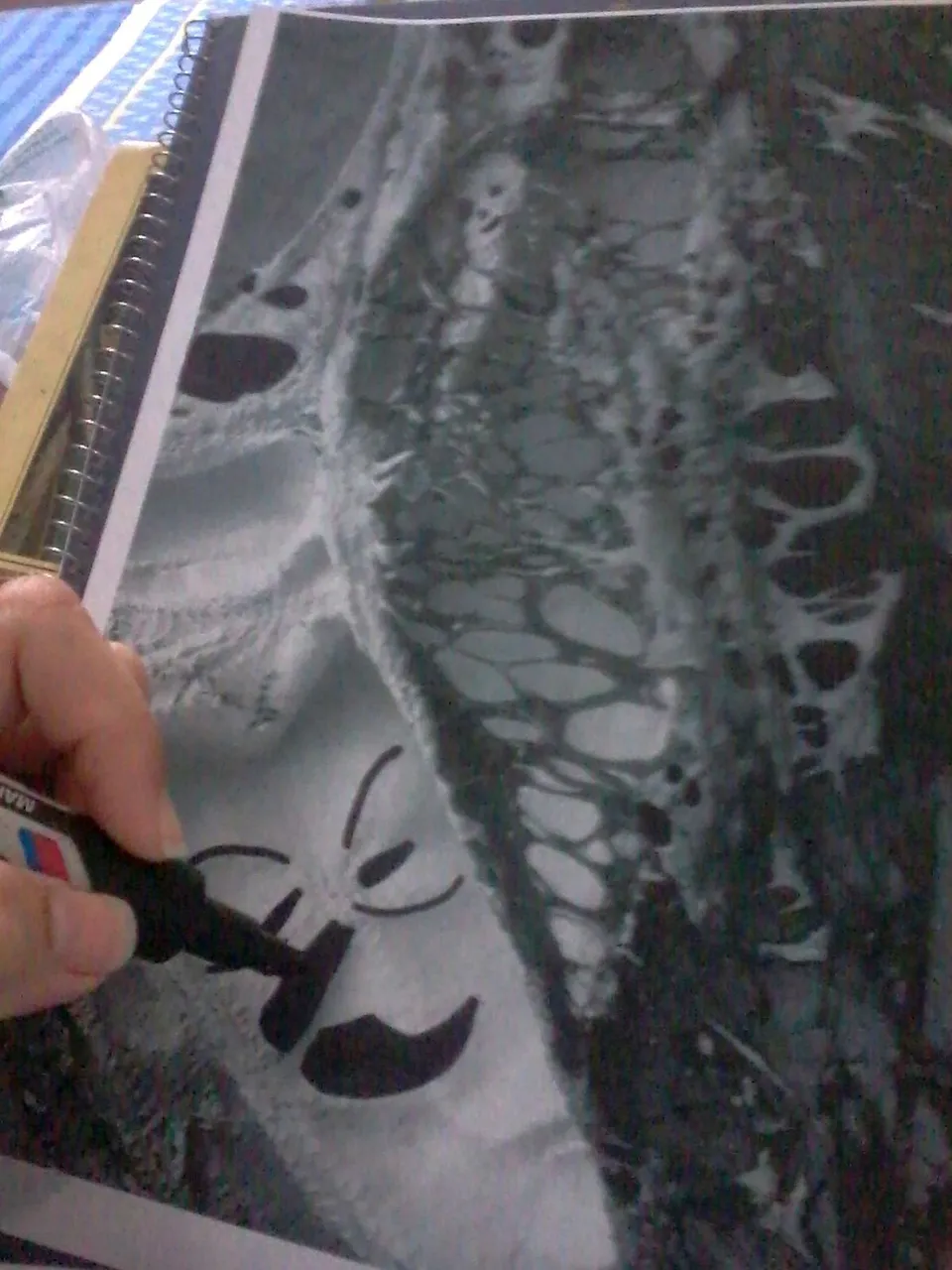 proceso everlove.jpg