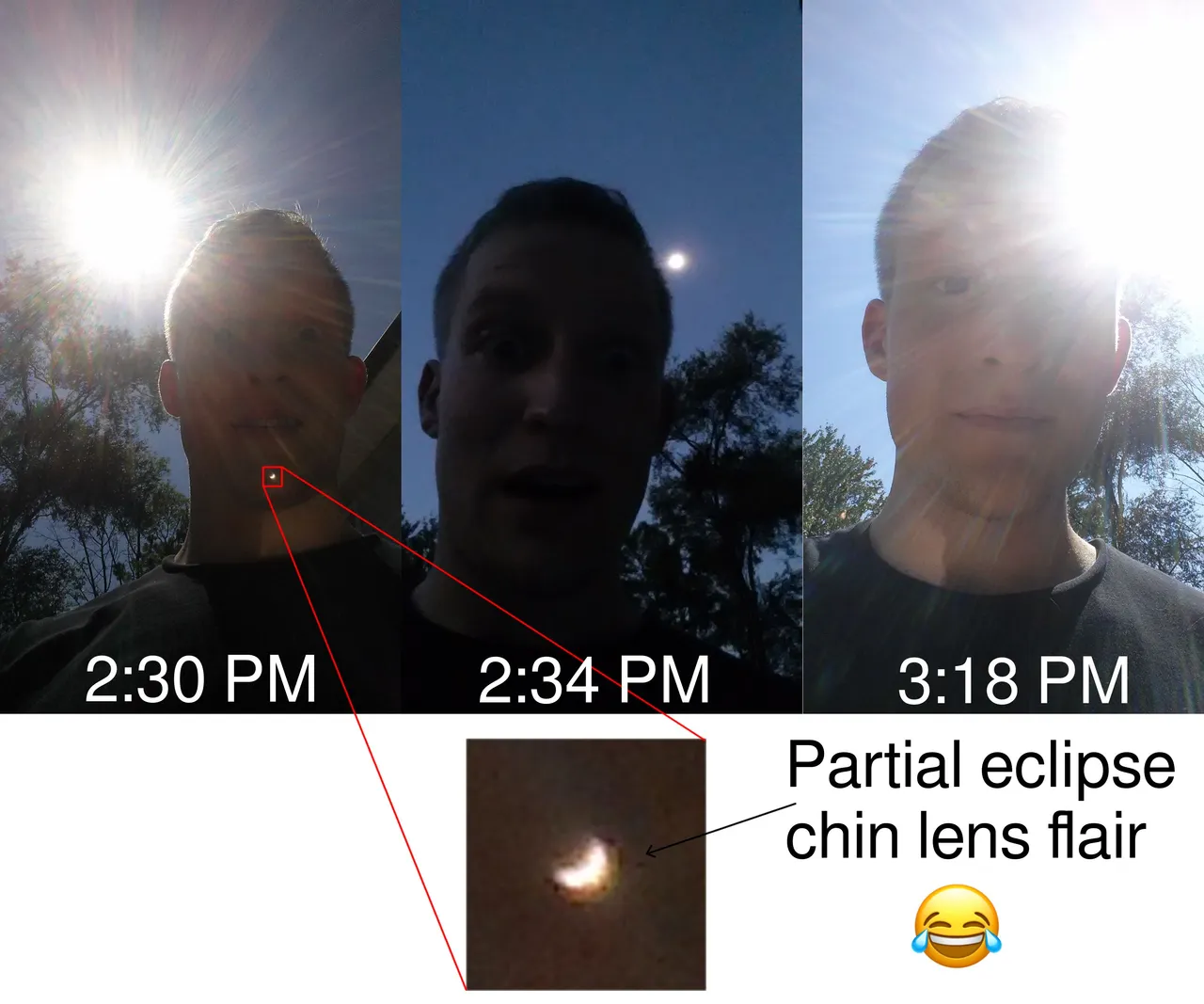 eclipse progress.jpg