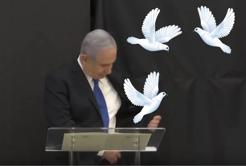 Bibi Doves fly.png