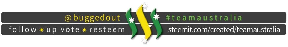 TeamAust_buggedout.png