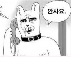 안사.jpg