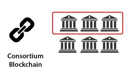 Consortium-network.jpg