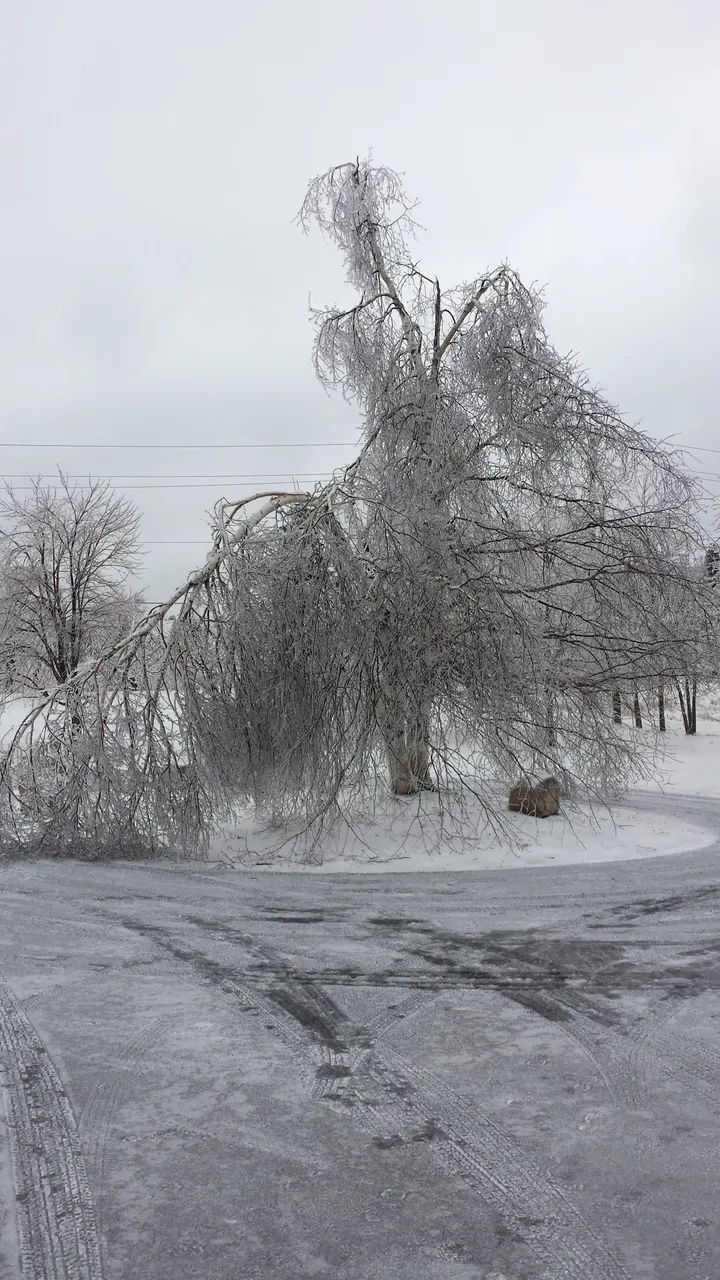 Ice storm Erin.jpg