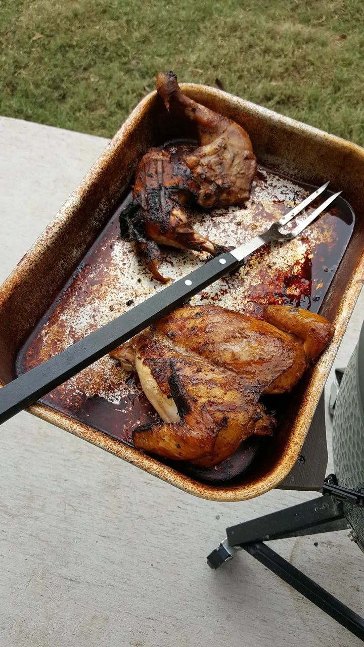 GreenEgg Chicken.jpg