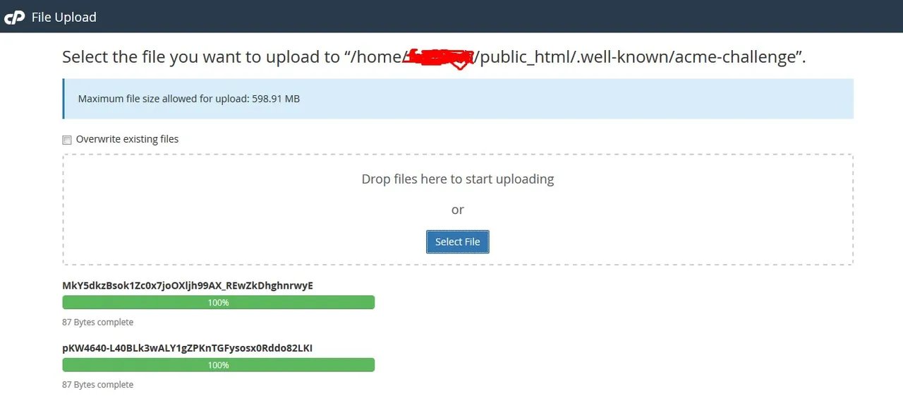 upload_file_cpanel.jpg