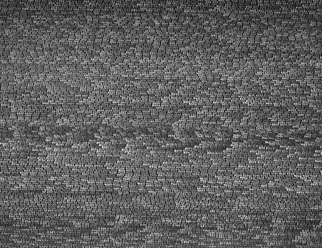 OPALKA_1965_Detail.jpg