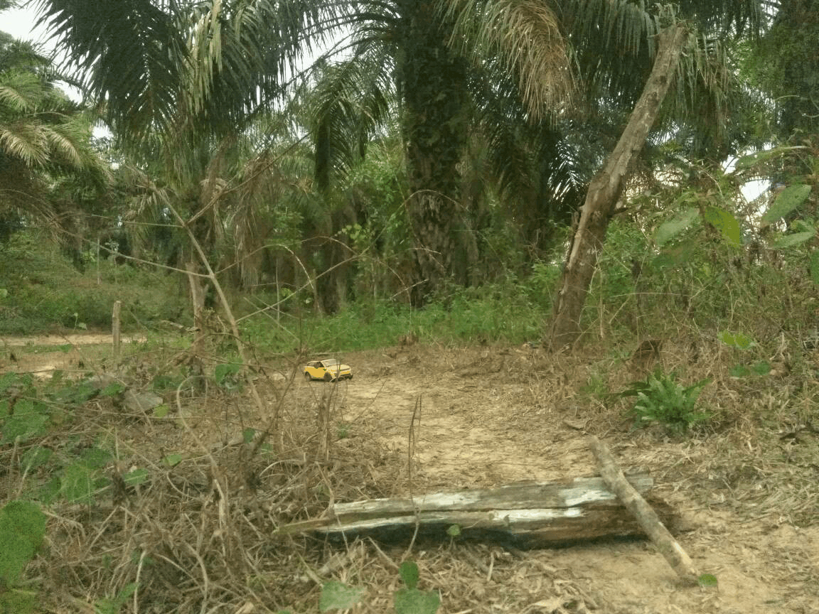 GM_20180425_154350.gif