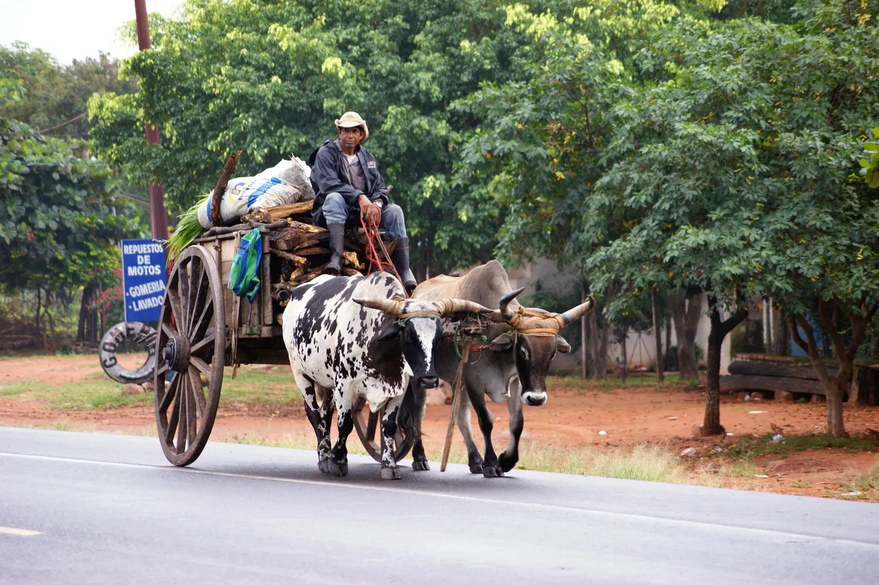 oxcart-184621_1920.jpg