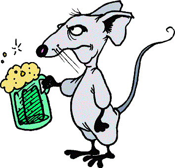 rat drinking 2.gif