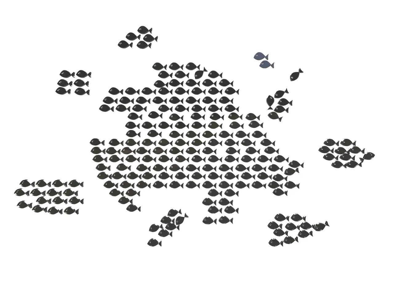 unorganized fish.jpg