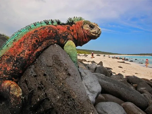 galapagos-islands2.jpg