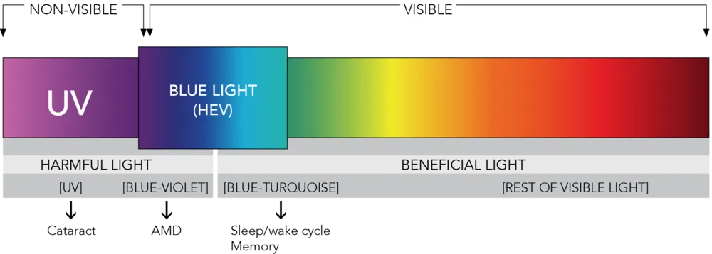 Blue+Light+HEV.png