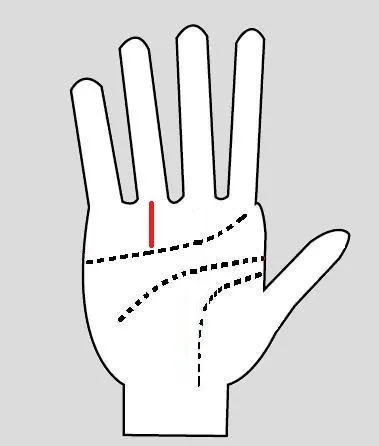 sun-line-palmistry.jpg