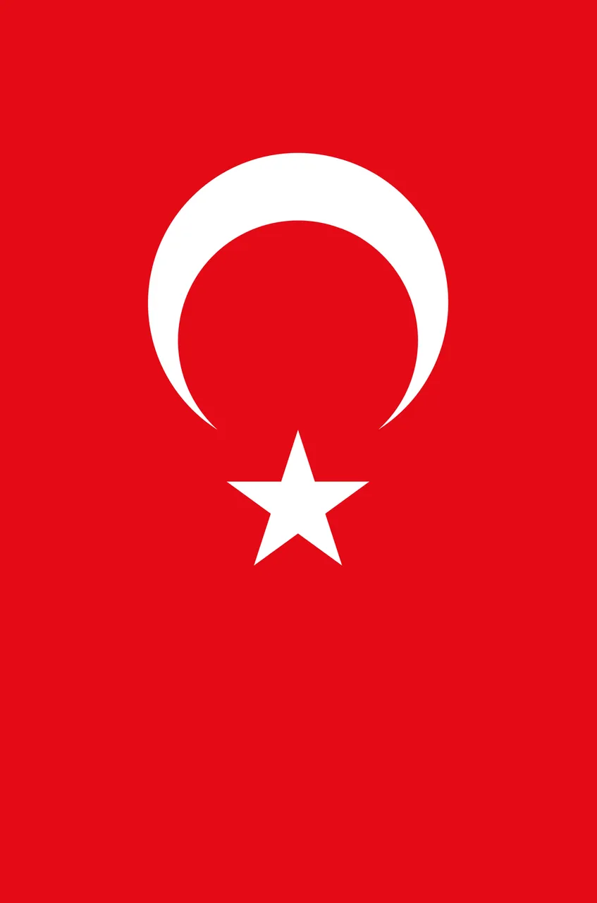 Flag_of_ParaTurkey.png