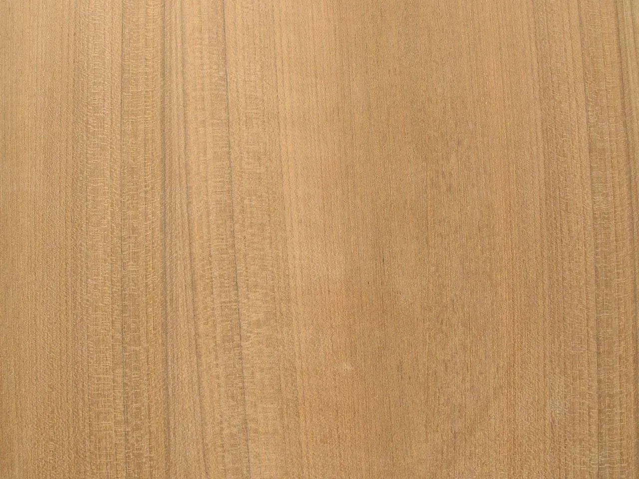 QUARTERSAWN TEAK.jpg