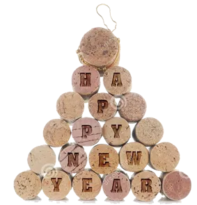 Happy New Year.png