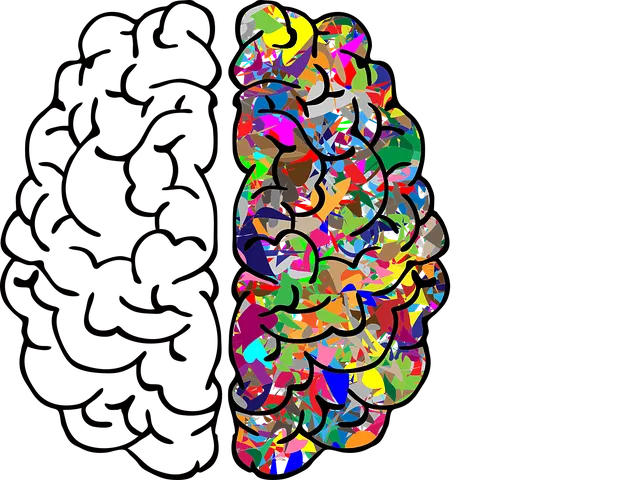 brain-2750415__480.png