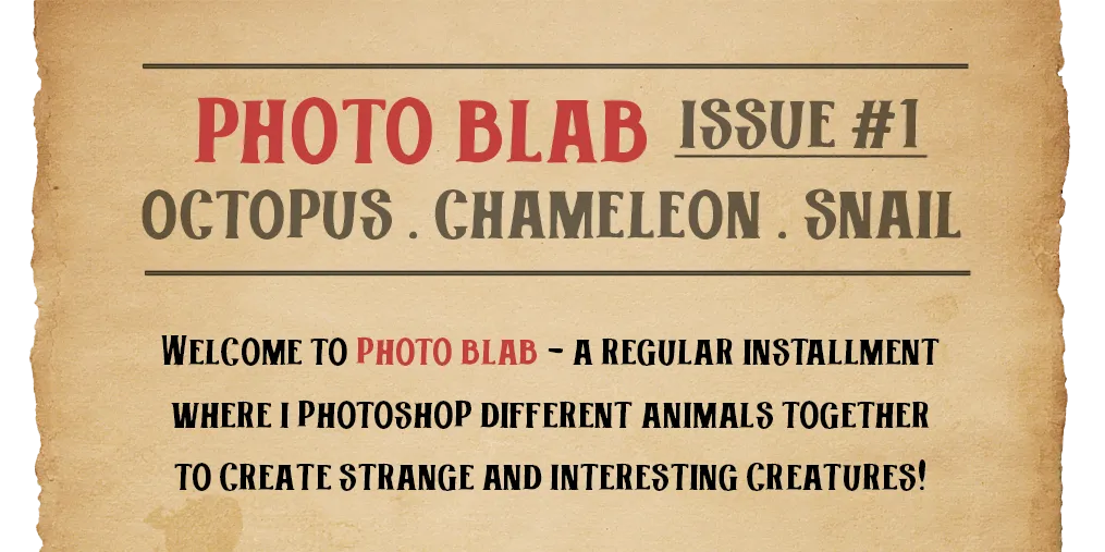 photo blab top.png