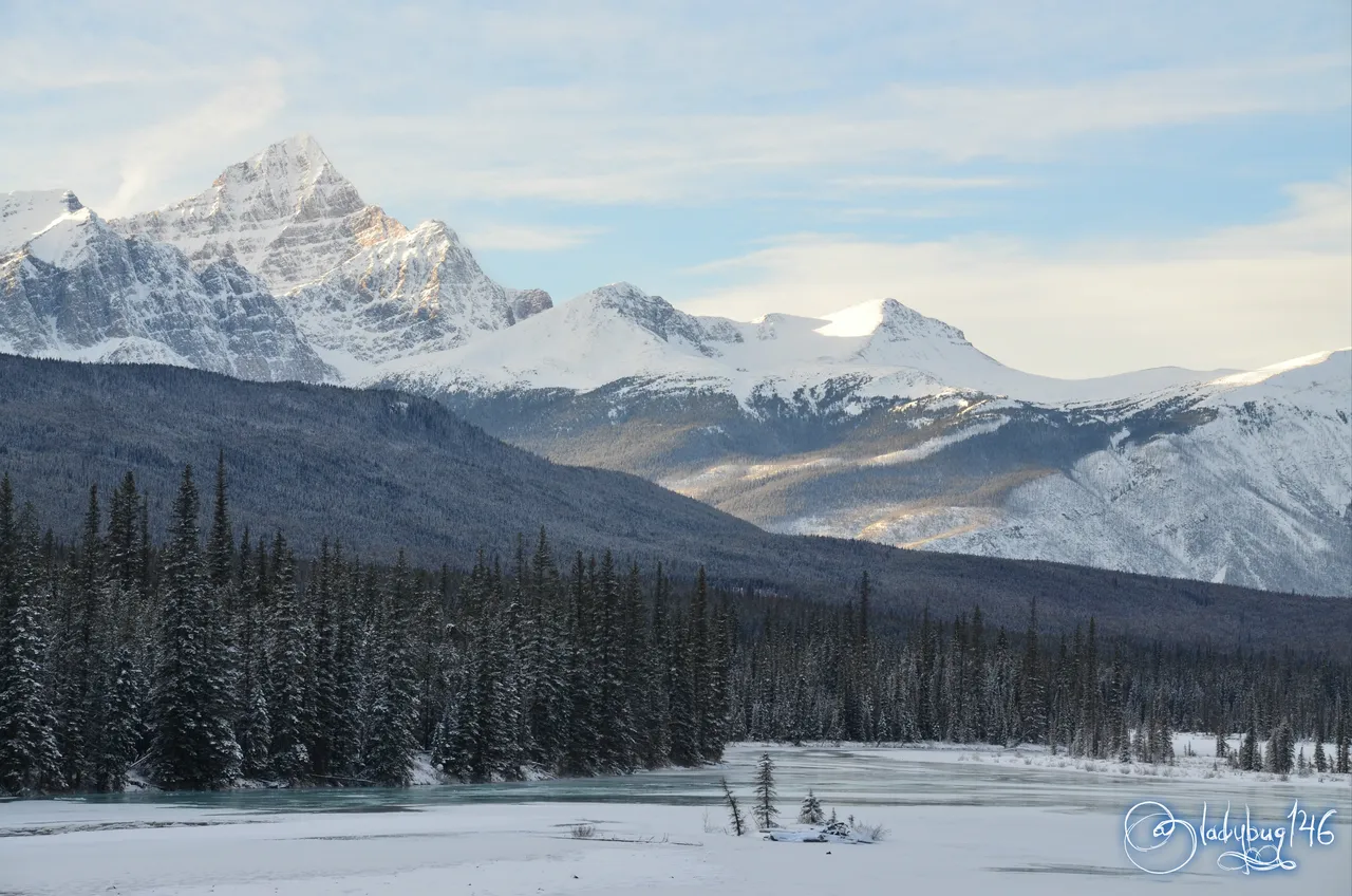 icefield parkway.jpg