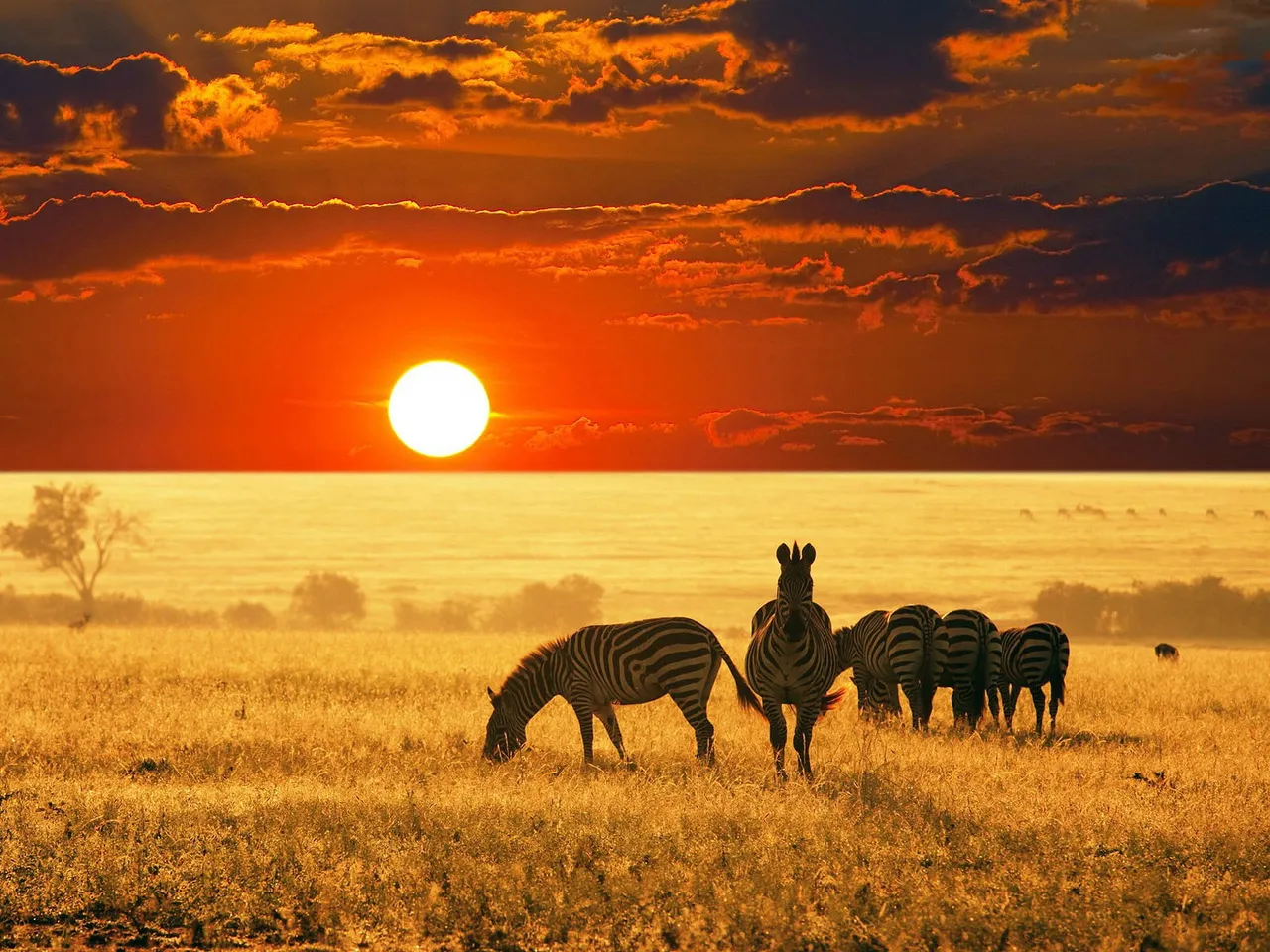 Africa-Wallpaper-7.jpg