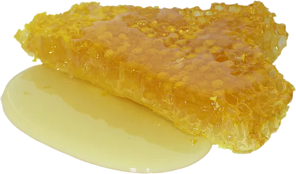 honey-2201210__340.png