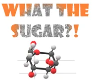 WhatTheSugar_small.png