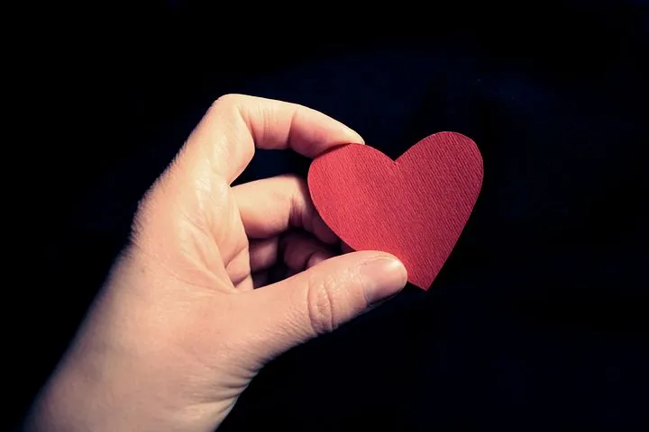 heart-2965839__480.jpg