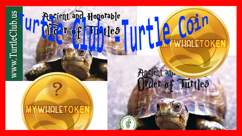 TurtleCoin-steemit.png
