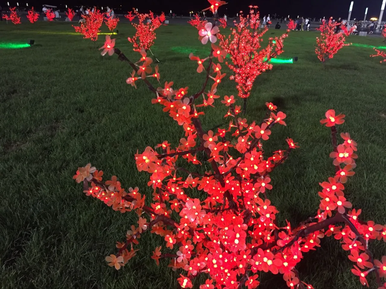 花树.jpg