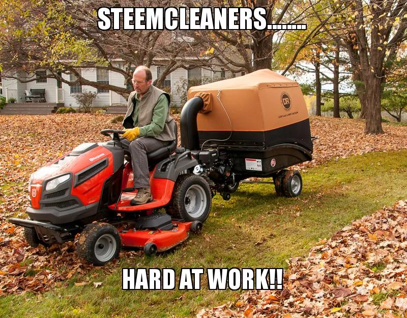 steemcleanersMower.jpg