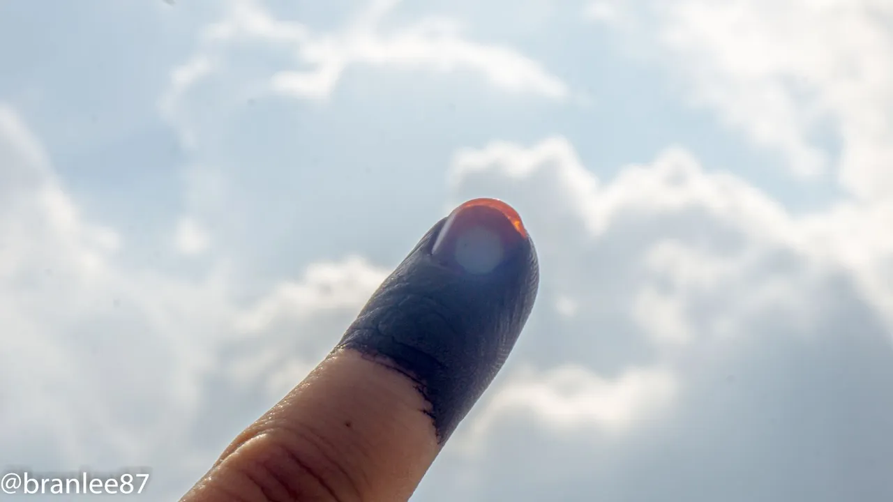 branlee87fingerpic.jpg