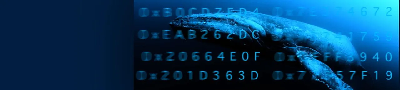 Whaleshares Logo.jpg