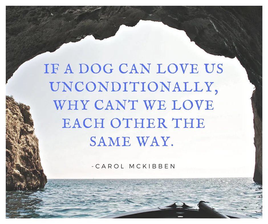 If a dog can love us unconditionally, why cant we love each other the same way..png