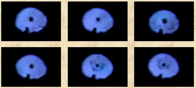NASA UFOs ultraviolet critters