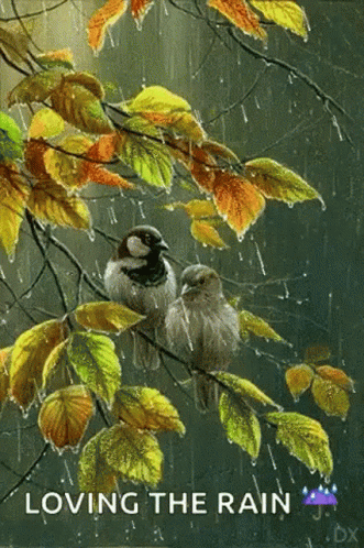 untitled.gif