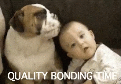 untitled.gif
