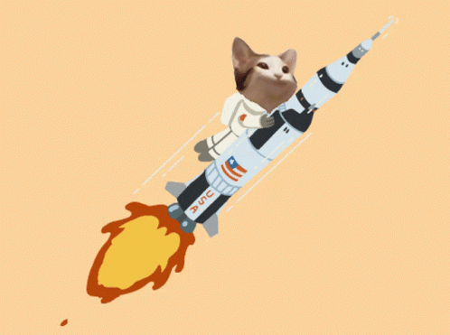 untitled.gif