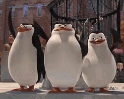untitled.gif