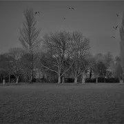 IMG_20171220_130201_287