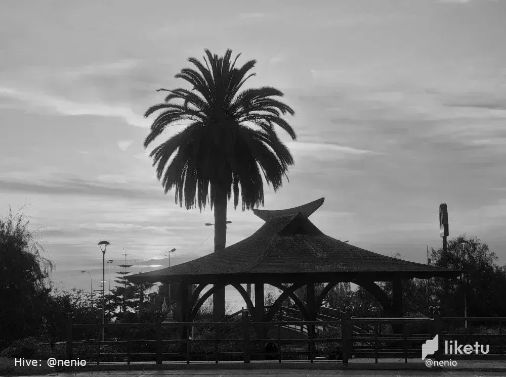 cl8nofpyw02dx1skcgwcedrbs_silhouette-sunset-002-bw.webp