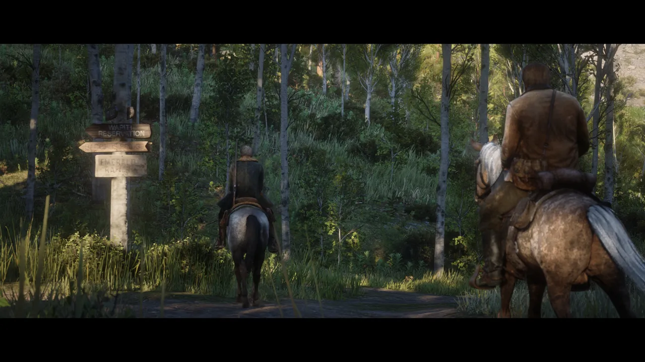 Red Dead Redemption 2 Screenshot 2021.02.14 - 15.55.17.81.png