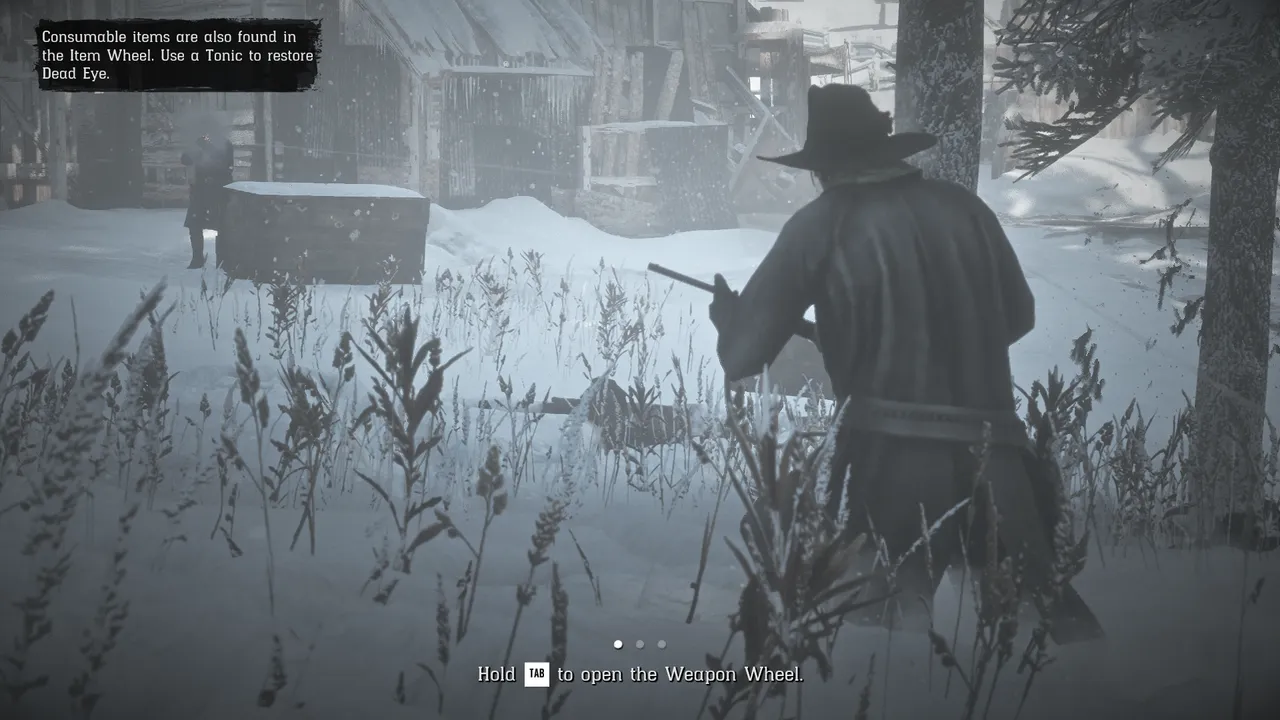 Red Dead Redemption 2 Screenshot 2021.02.07 - 16.34.55.64.png