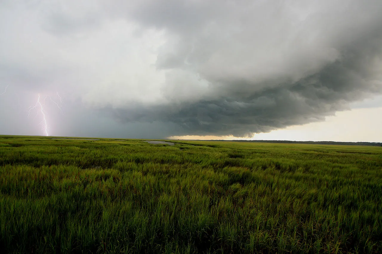 Thunderstorm Asthma