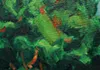 제목 없2음-1 복사 (1).jpg